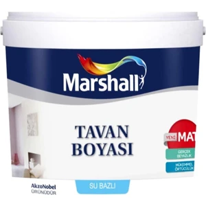 Tavan Boyası 10 kg Tavan Boyası