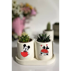 Dekozayn Home Tabaklı Mickey Mouse Baskılı Mini Saksı Seti Hediyelik Dekoratif (Çiçeksiz)