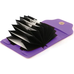 The Noir Leather Eliya Akordion Kartlık