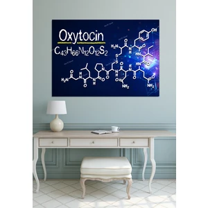 Morfil Sanat Atölyesi Grabovoi Oksitosin O x ytocin Kutsal Geometri Yaşam Çiçeği Tablo
