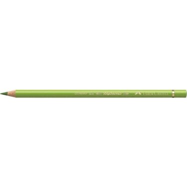Faber-Castell Polychromos Pencil - 170 - May Green