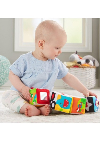 Fisher Price Fisher-Price Eğlenceli Küpler (Kapalı Paket) GFC37