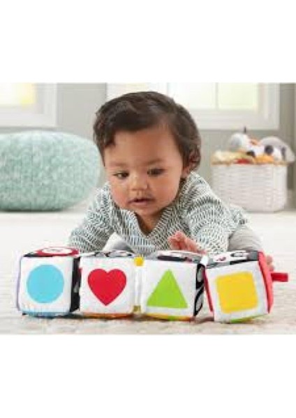 Fisher Price Fisher-Price Eğlenceli Küpler (Kapalı Paket) GFC37