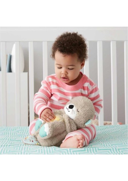 Fisher Price Uyku Arkadaşı Su Samuru indirimleri