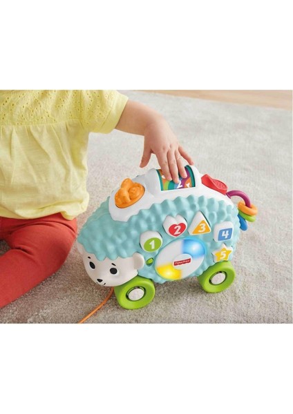 Fisher Price Sevimli Gezgin Kirpi Türkçe GJB12 indirimleri