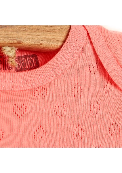 HelloBaby Jakarlı Kısa Kol Body Kız Bebek