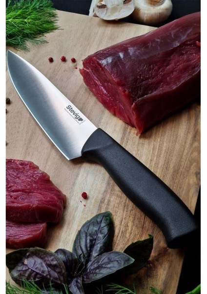 Solid Şef Bıçağı 17,5 cm Siyah ST-400.001 modelleri