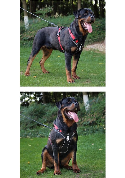 Evcil Hayvan Göğüs Tasması - Kırmızı (Yurt Dışından) modelleri