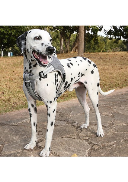 Köpek Göğüs Kemeri - Kahverengi (Yurt Dışından) fiyatları