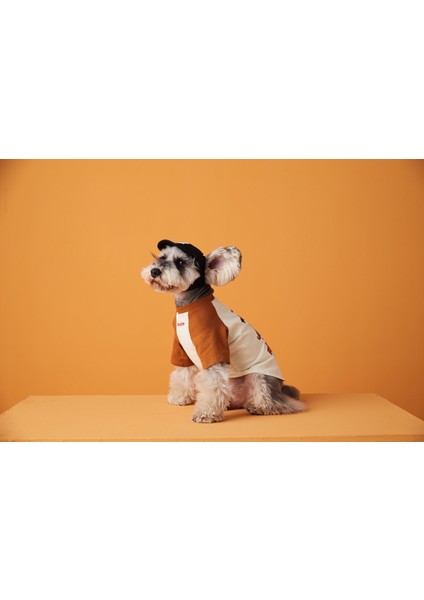 Evcil Hayvan Kıyafeti - Kahverengi / Beyaz (Yurt Dışından) fırsatları