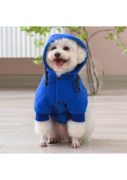 Evcil Hayvan Kıyafeti - Mavi (Yurt Dışından) fiyatları