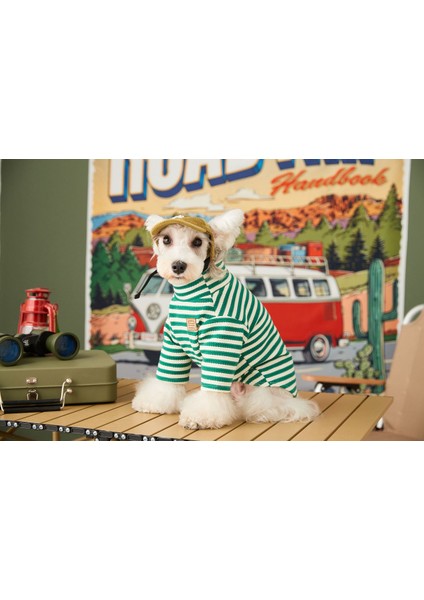 Evcil Hayvan Kıyafeti - Yeşil (Yurt Dışından) fiyatları