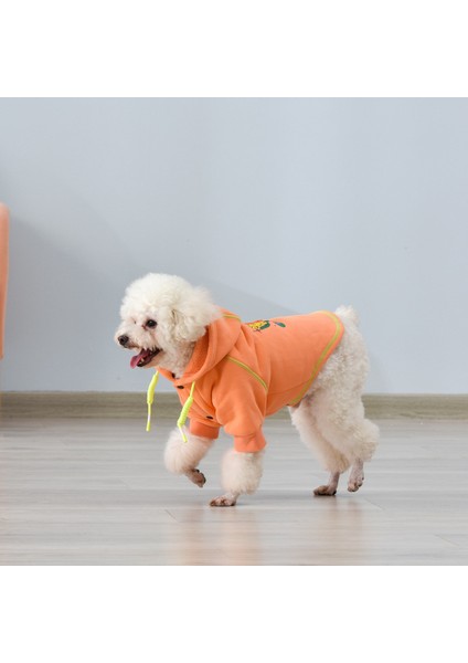 Evcil Hayvan Kıyafeti - Turuncu (Yurt Dışından) indirimleri
