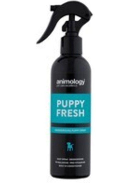 Yavru Köpekler Için Kuru Sprey Şampuan Puppy Fresh 250 ml