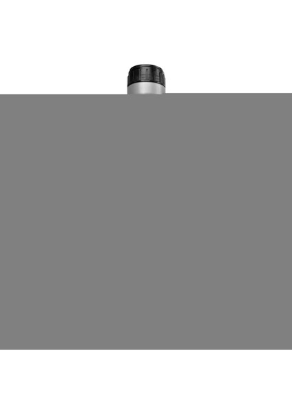 Smoothise Frozen Mango 1.1 kg