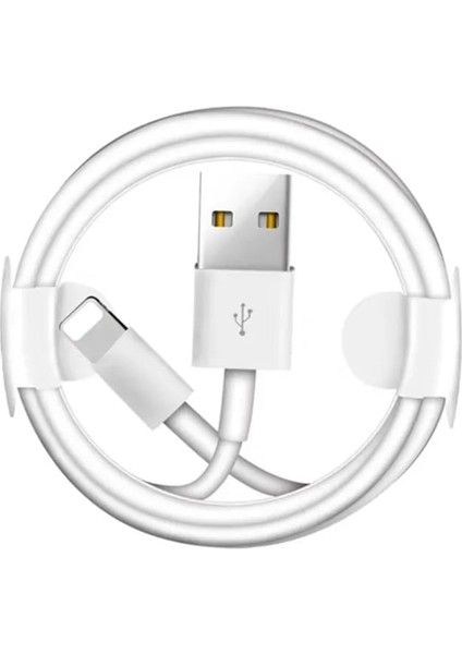 Apple Iphone Şarj Aleti