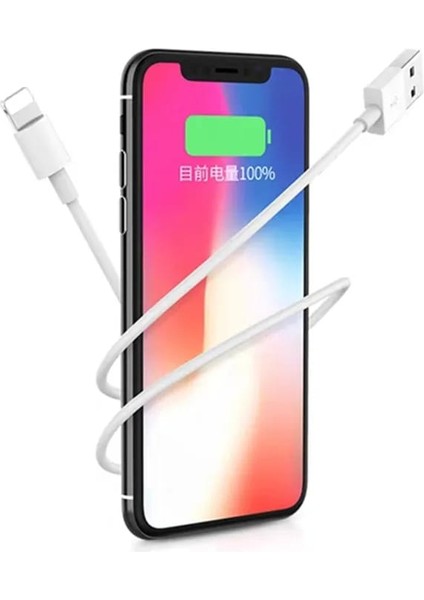 Apple Iphone Şarj Aleti