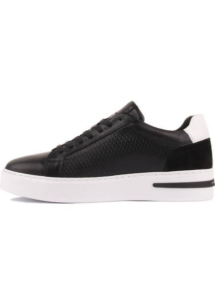 Sail Lakers - Siyah Deri Bağcıklı Erkek Sneaker modelleri