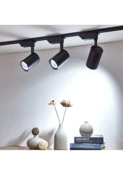 30W LED Ray Spot 3lü Set -Siyah Kasa -Beyaz Işık