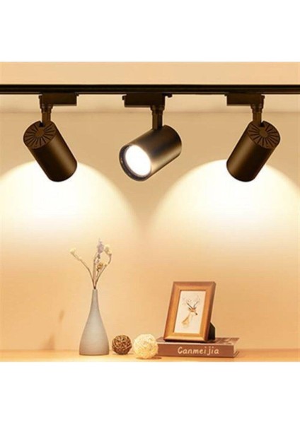 30W LED Ray Spot 3lü Set -Siyah Kasa- 3000K -Günışığı