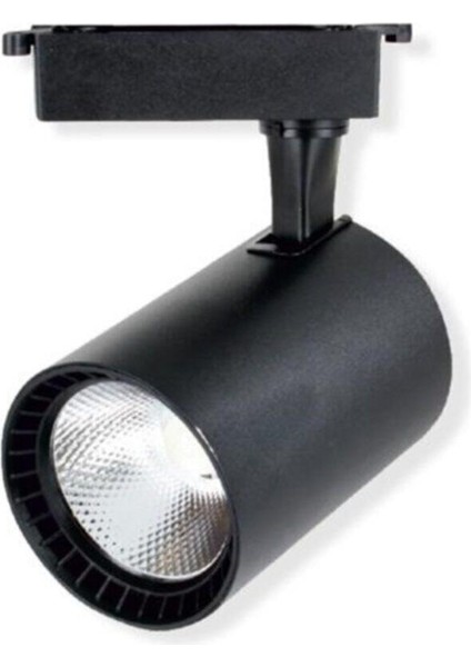 30W Paris Siyah Kasa LED Ray Spot Beyaz Işık