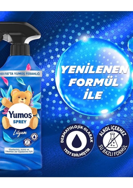Sprey Yıkaması Zor Eşyalar Için Lilyum 450 ml