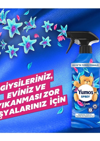 Sprey Yıkaması Zor Eşyalar Için Lilyum 450 ml