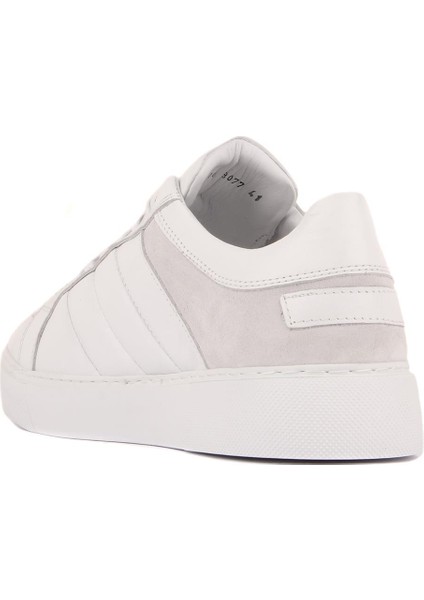 Sail Lakers - Beyaz Deri Bağcıklı Erkek Sneaker