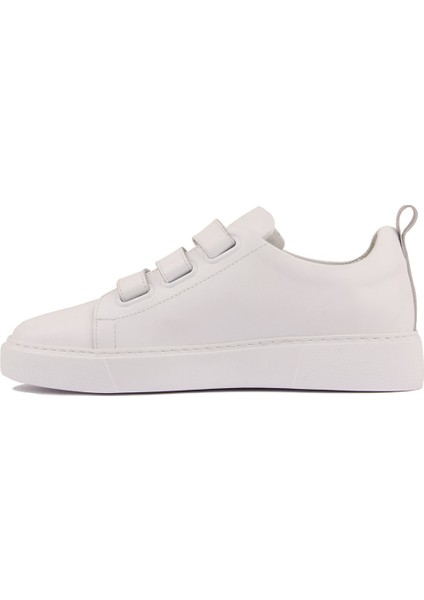 Sail Lakers - Beyaz Deri Cırtı Erkek Sneaker modelleri