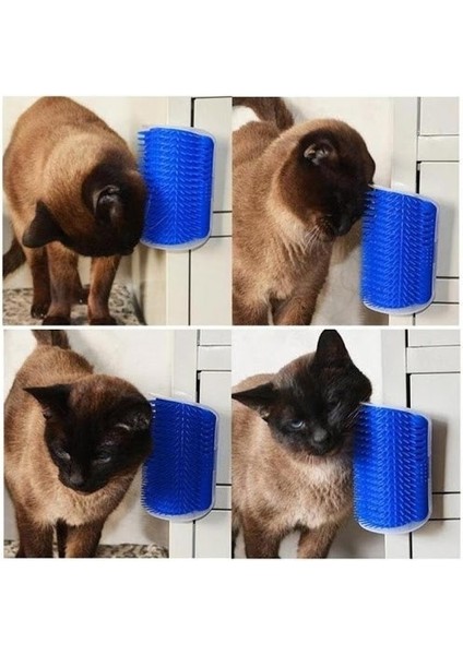 Masajlı Kedi Kaşınma Aparatı Kapıya Takılan Kaşıma Aparatı Kedi Köpek Kaşıma Aparatı