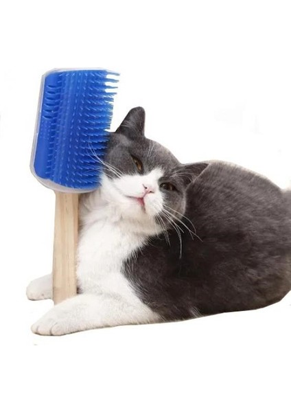 Masajlı Kedi Kaşınma Aparatı Kapıya Takılan Kaşıma Aparatı Kedi Köpek Kaşıma Aparatı