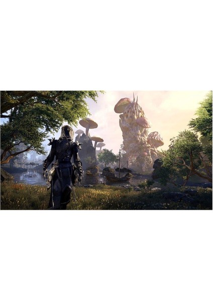 The Elder Scrolls Online : Morrowind Xbox One Oyun fırsatları