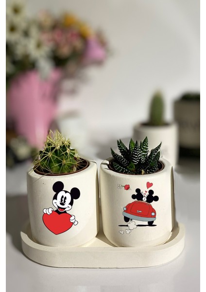 Tabaklı Mickey Mouse Baskılı Mini Saksı Seti Hediyelik Dekoratif (Çiçeksiz)