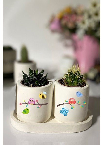 Tabaklı Kuş Baskılı Mini Saksı Seti Hediyelik Dekoratif (Çiçeksiz)