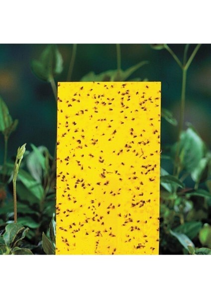 Sinek ve Böcekler Için Sarı Yapışkan Tuzak 20 x 10 cm 10'lu modelleri