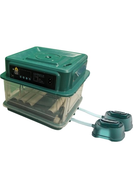 Otomatik Yumurta Inkübatör Tavuk Hatcher 6 Yumurta (Yurt Dışından) fırsatları