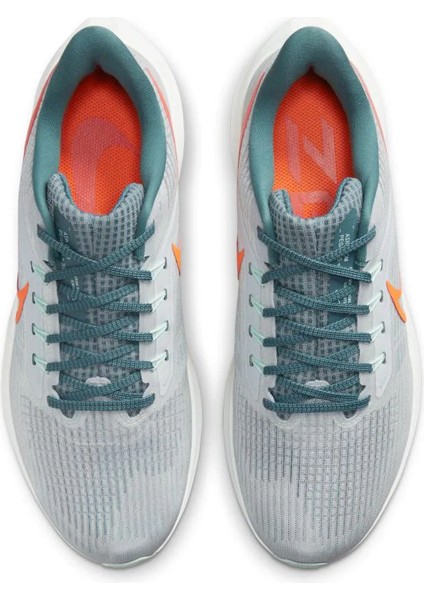 DH4071-003 Air Zoom Pegasus 39 Erkek Koşu Ayakkabısı fiyatları