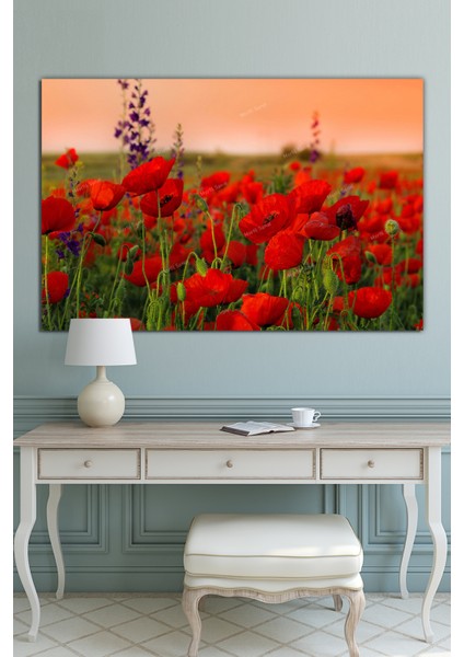 Gelincik Tarlası Dekoratif Kanvas Tablo