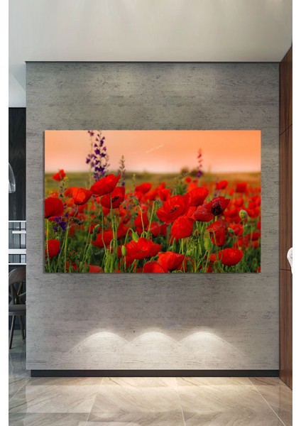 Gelincik Tarlası Dekoratif Kanvas Tablo fiyatları