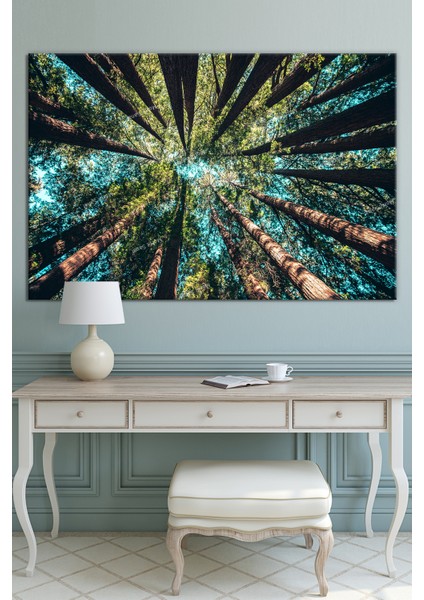 Ormanda Ağaçlar Altından Gökyüzüne Bakış Dekoratif Kanvas Tablo