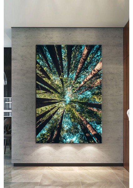 Ormanda Ağaçlar Altından Gökyüzüne Bakış Dekoratif Kanvas Tablo fiyatları