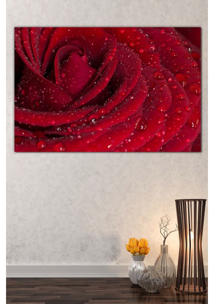 Kırmızı Gül Su Damlacığı Çiçek Dekoratif Kanvas Tablo fiyatları