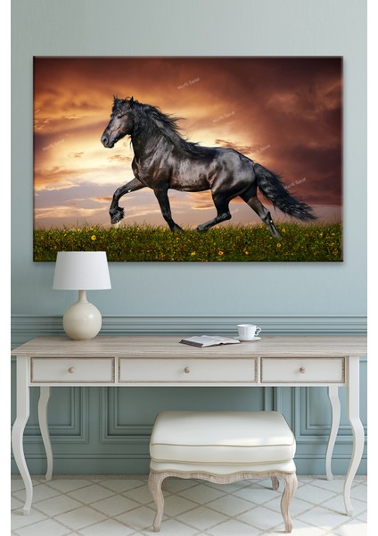 Asil Siyah Rahvan At Kanvas Tablo