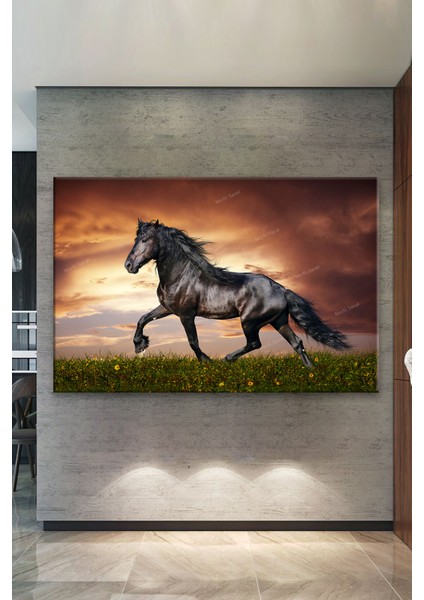 Asil Siyah Rahvan At Kanvas Tablo fiyatları