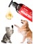 Fish Oil 200 ML Kedi ve Köpekler Için Balık Yağı 7
