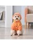 Evcil Hayvan Kıyafeti - Turuncu (Yurt Dışından) 4