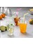 Plastik Şeffaf Bardak 300ML cc Milkshake Limonata Kahve Bardağı Kapaklı 10 Adet 2