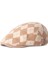 Ileri Şapka Erkek ve Kadın Ördek Dili Şapka Retro Bere (Yurt Dışından) 1