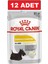 Royal Canın Dermacomfort Yaş Köpek Maması 12 Adet 85 gr Konserve Pouch 1