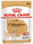Chihuahua Adult Yaş Köpek Konservesi 85 gr 1